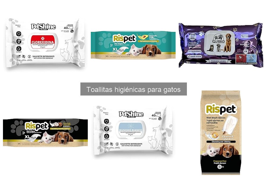 Ingredientes a evitar en toallitas higiénicas para gatos