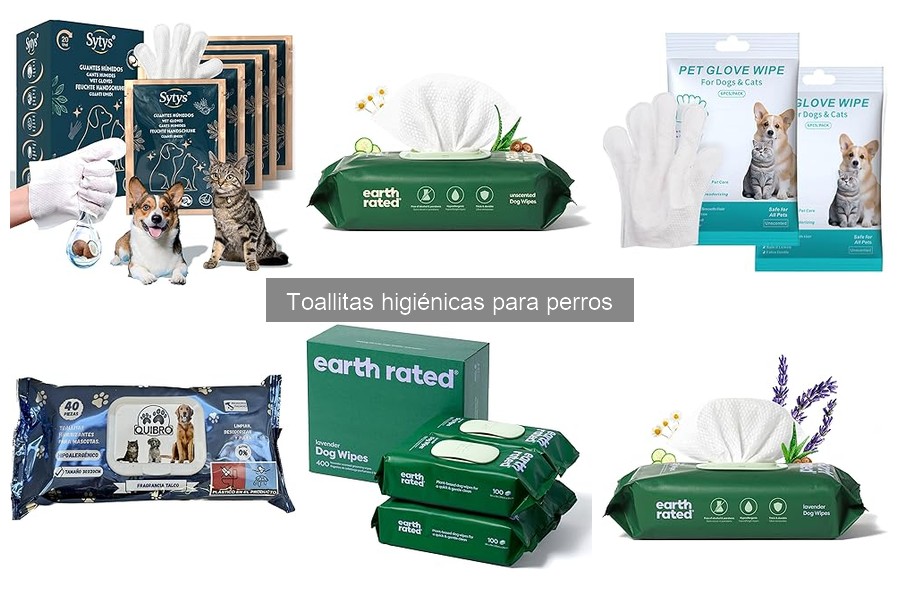 Ingredientes a Evitar en Toallitas Higiénicas para Perros