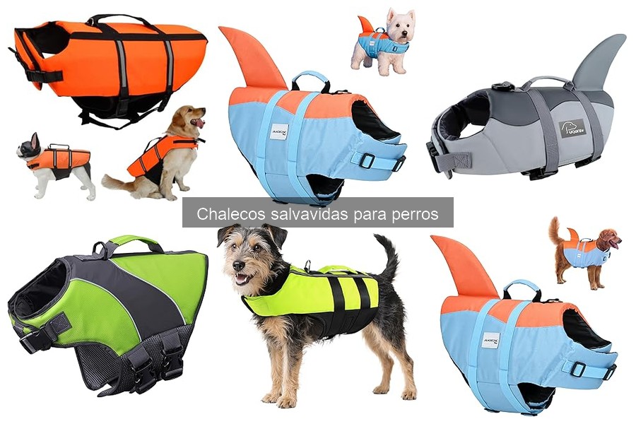 Instrucciones para Poner y Quitar un Chaleco Salvavidas a tu Perro
