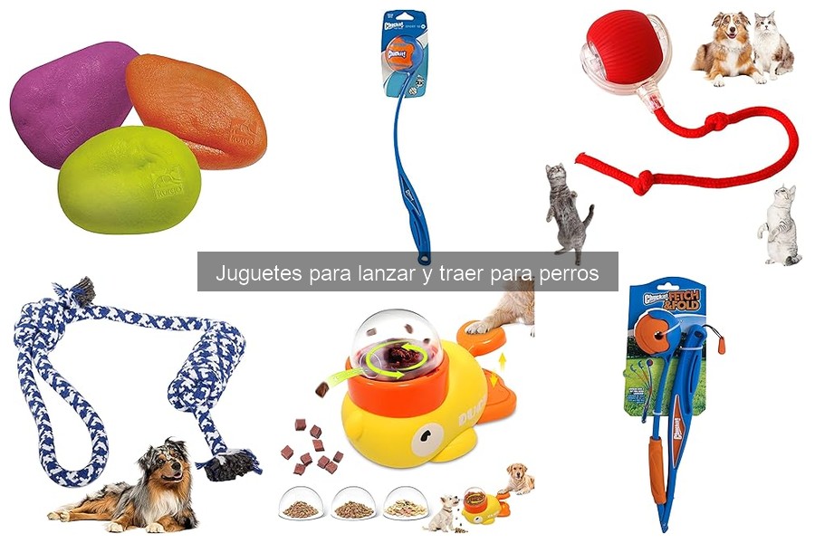 Juegos Alternativos con Juguetes de Lanzar y Traer para Perros