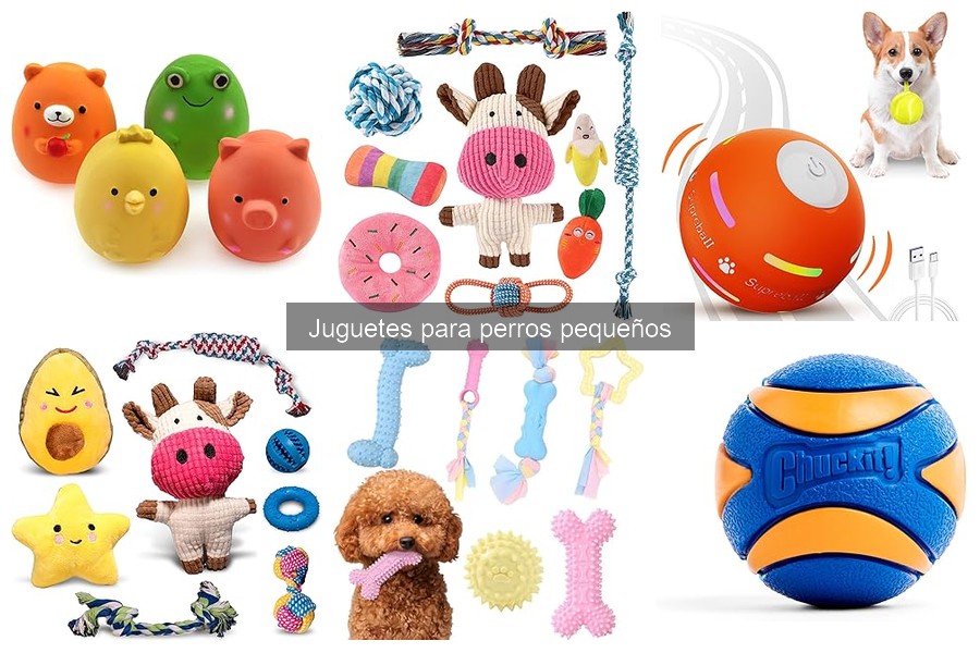 Juegos Interactivos para Perros Pequeños: Mejora el Vínculo