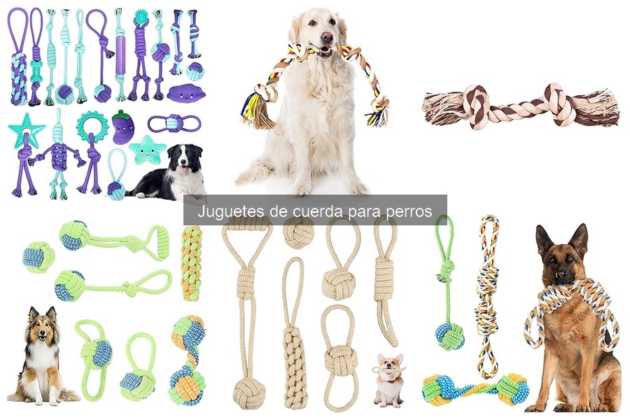 Jugar Seguro con Juguetes de Cuerda para Perros