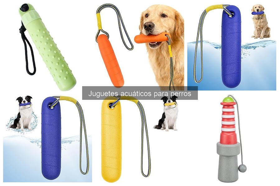 Juguetes acuáticos para perros: Combatiendo la ansiedad