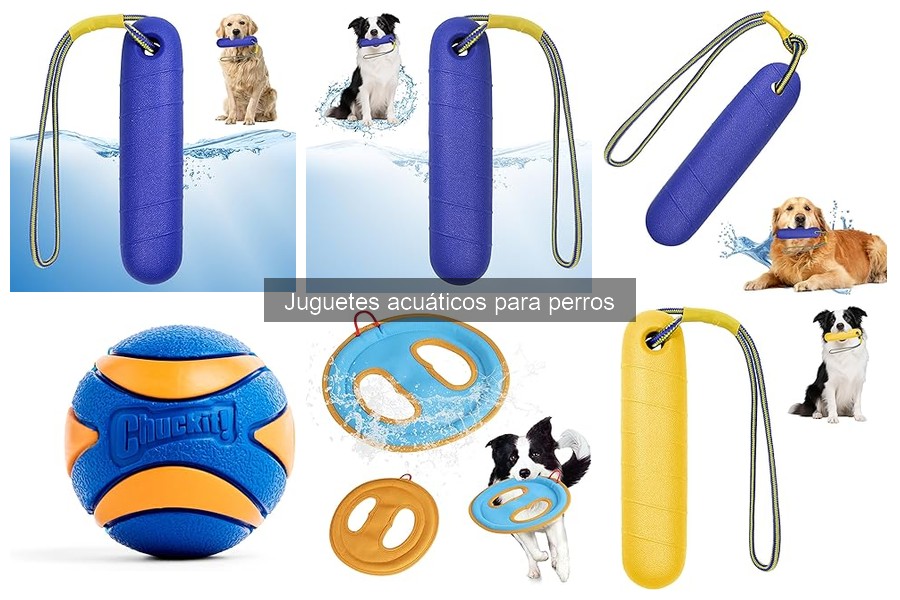 Juguetes acuáticos para perros: mejores opciones para viajar