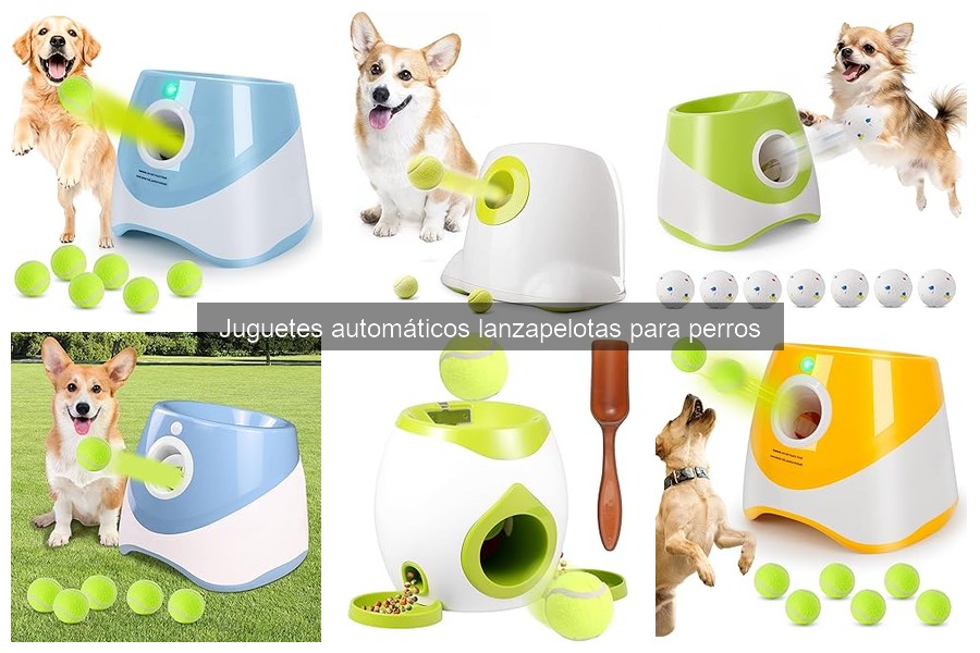 Juguetes automáticos lanzapelotas para perros: beneficios y características