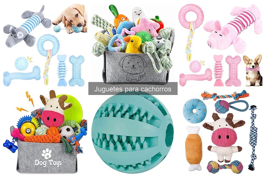 Juguetes educativos para cachorros: ¿realmente funcionan?