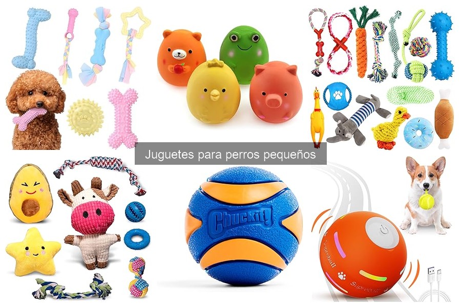 Juguetes ideales para perros pequeños según su raza