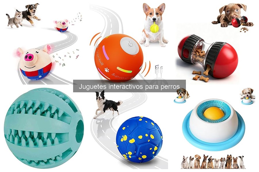 Juguetes interactivas para perros con ansiedad por separación