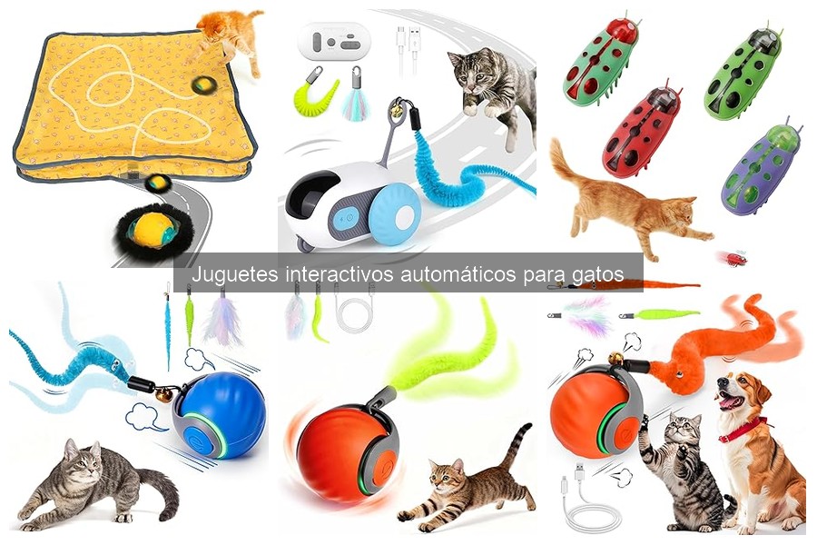 Juguetes interactivos automáticos para gatos según su temperamento
