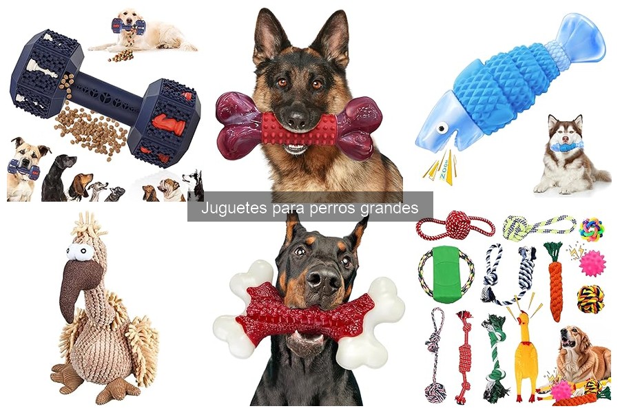 Juguetes Interactivos para Perros Grandes: ¿Funciona Realmente?