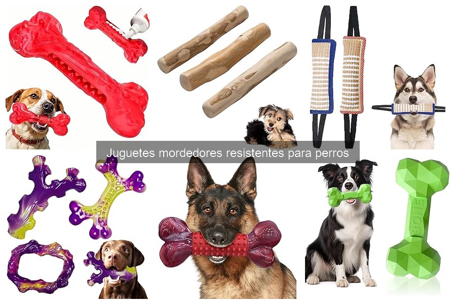 Juguetes Mordedores Resistentes para Perros: Guía Informativa