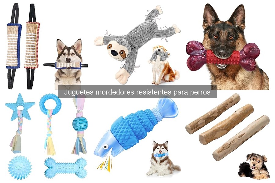 Juguetes mordedores resistentes: ¿Son seguros para tu perro?