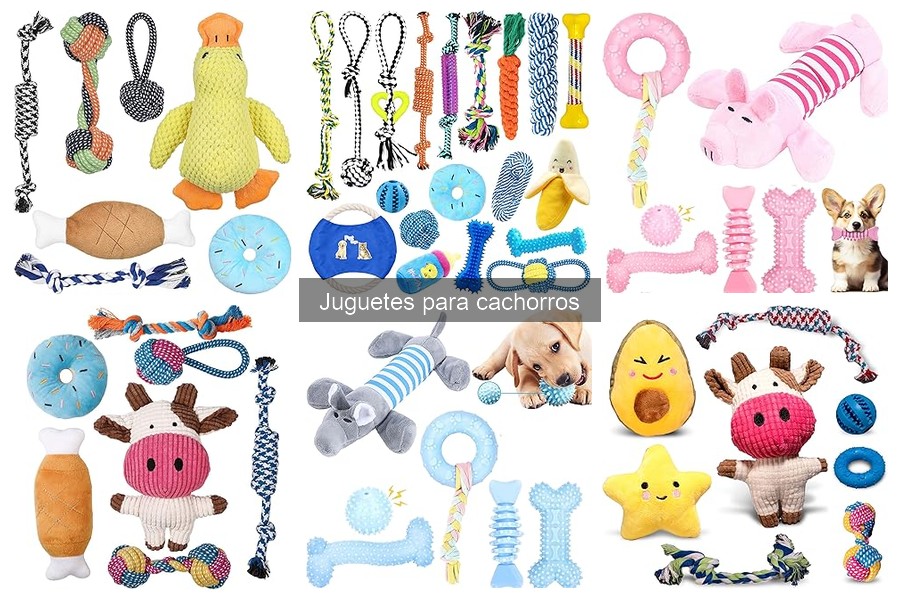 Juguetes para cachorros: dónde comprarlos a buen precio