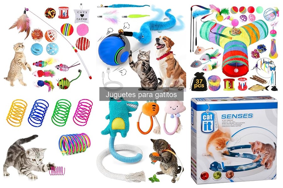 Juguetes para Gatitos Activos vs. Pasivos: ¿Cuál Elegir?