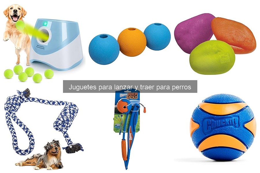 Juguetes para lanzar y traer para perros: ¿qué son y sus beneficios?
