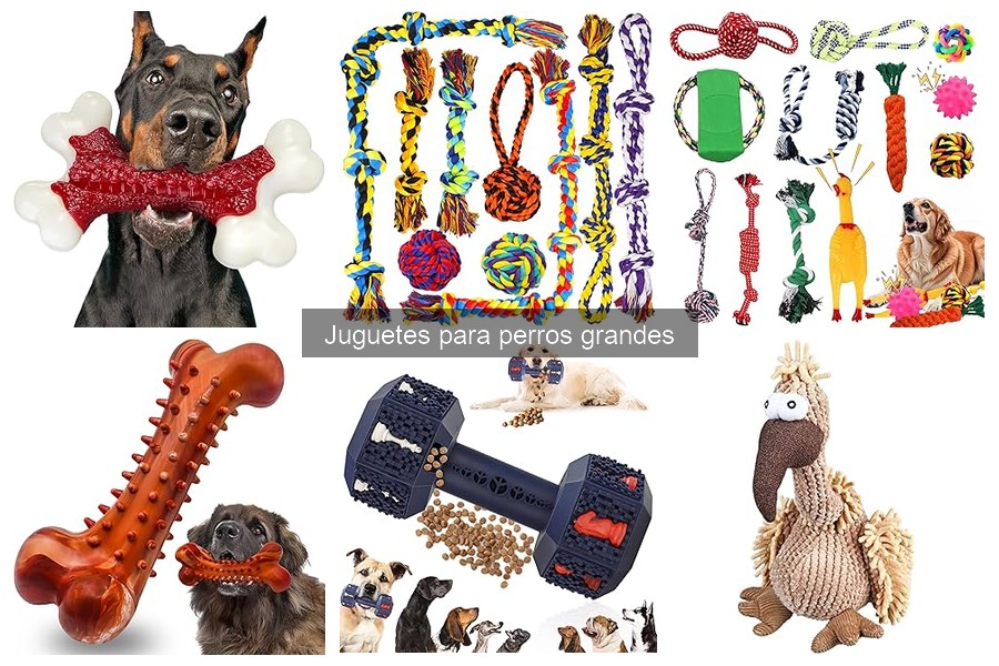 Juguetes para Perros Grandes que Alivian la Ansiedad