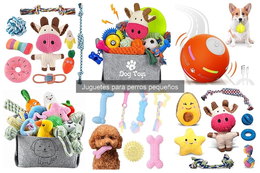 Juguetes para perros pequeños que mejoran la salud dental