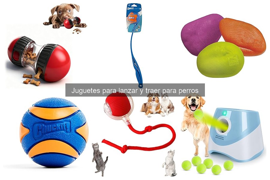 Juguetes para perros que fomentan el ejercicio en espacios pequeños