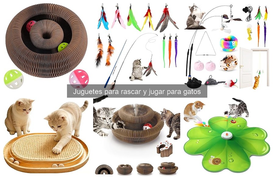 Juguetes para rascar y jugar para gatos: Beneficios y Propósito
