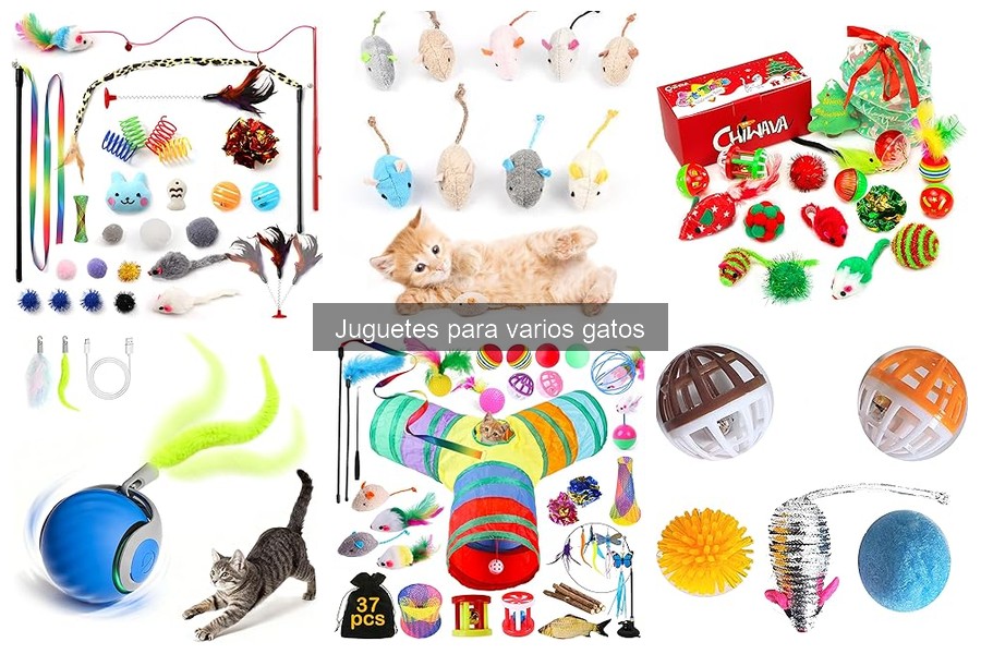 Juguetes que Fomentan la Actividad Física en Gatos