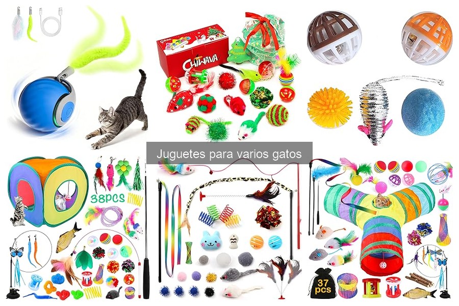 Juguetes recomendados para gatos jóvenes y enérgicos