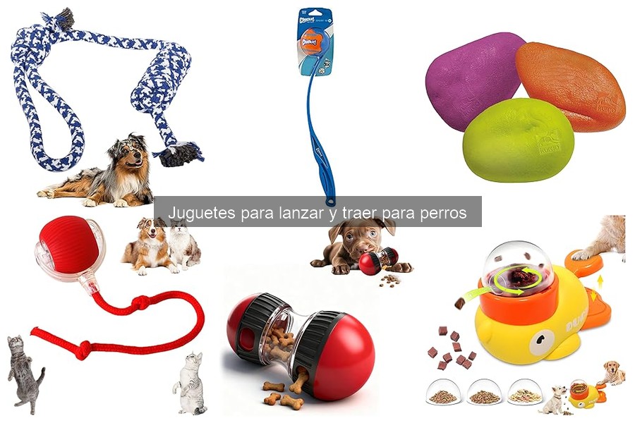 Juguetes seguros para cachorros: guía de compra