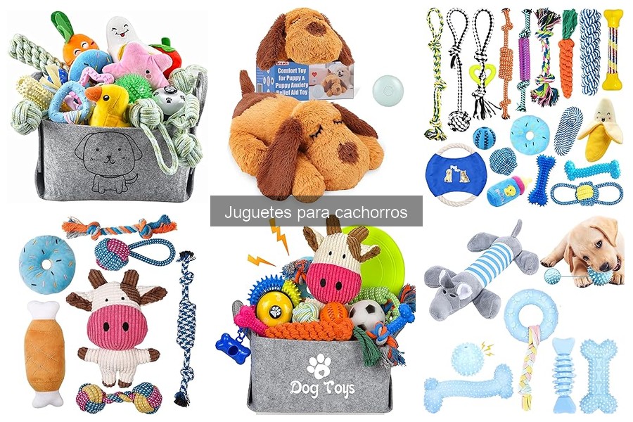 Juguetes seguros para cachorros: ¡Mejores opciones recomendadas!