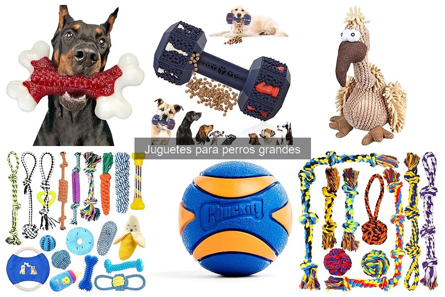 Juguetes seguros para perros grandes: lo que debes saber