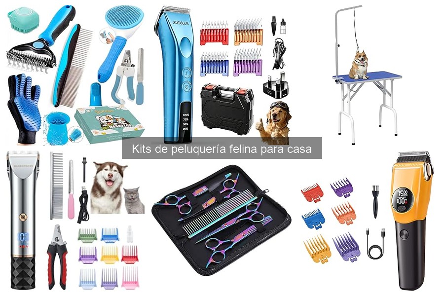 ¿Kit de Peluquería Profesional o Casero? Descubre las Diferencias