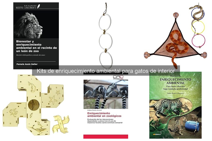 Kits de enriquecimiento ambiental para gatos senior: Mejores opciones