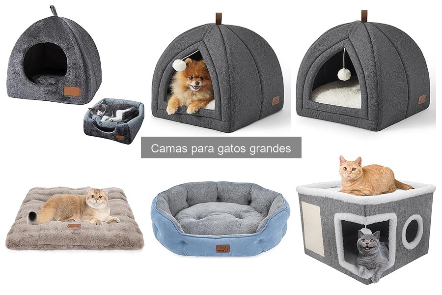 La guía perfecta para elegir camas para gatos grandes