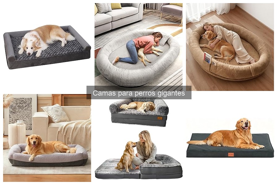 La Importancia de una Buena Cama para Perros Gigantes