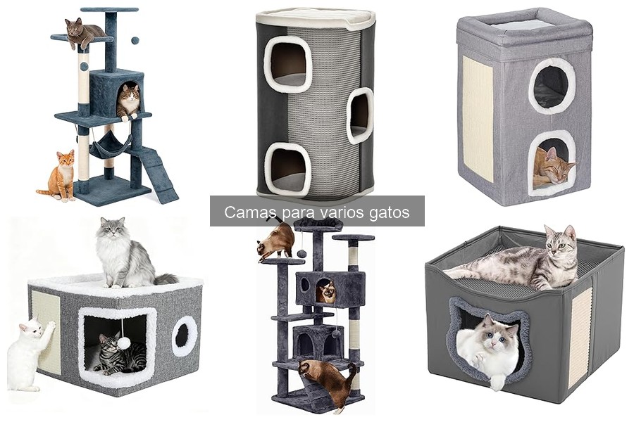 Las mejores camas recomendadas para gatos mayores