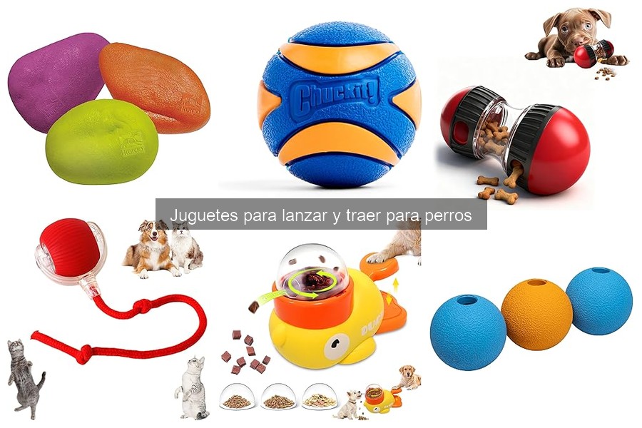 Las mejores reseñas de juguetes de lanzar y traer para perros