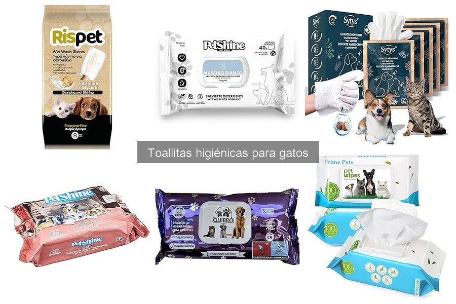 ¿Las toallitas higiénicas causan alergias en gatos?