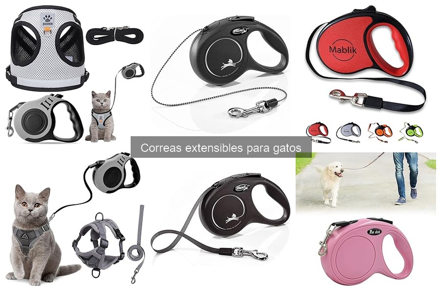 Longitud ideal de correas extensibles para gatos