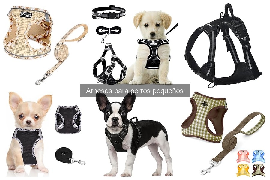 Los mejores arneses para perros pequeños según usuarios
