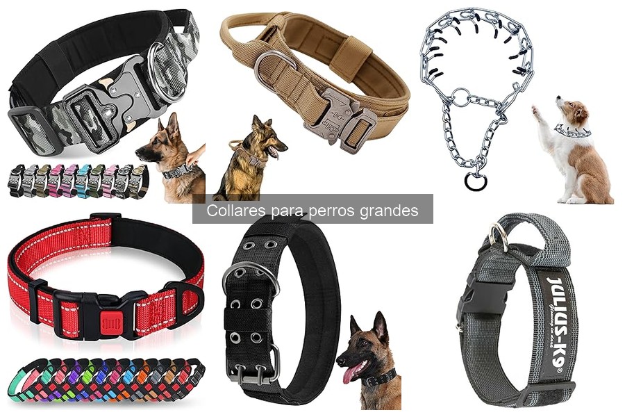 Los Mejores Collares para Perros Grandes: Guía de Selección