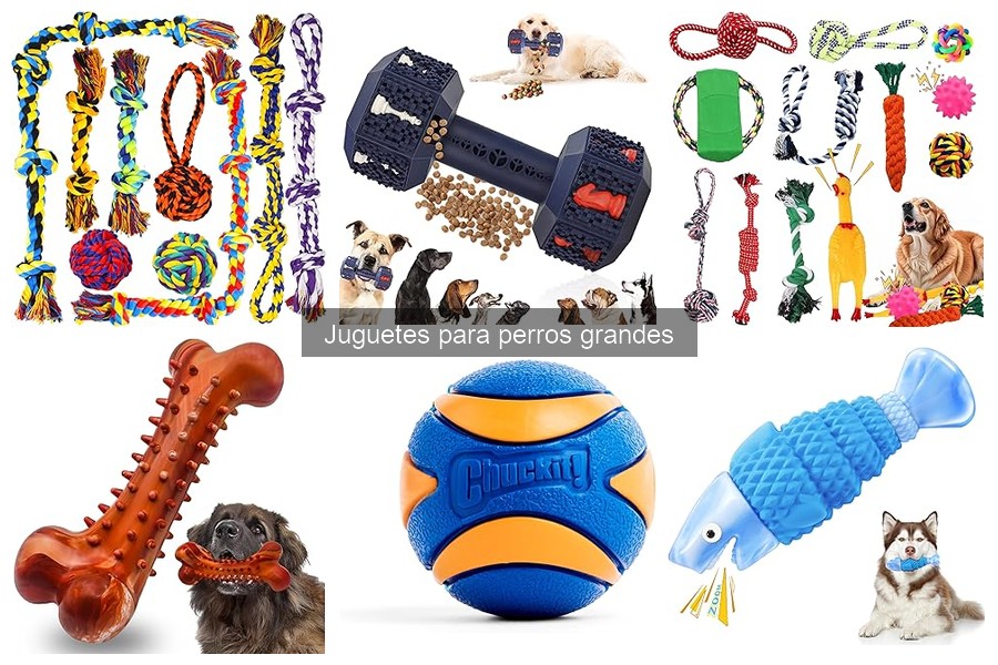 Los mejores juguetes para perros grandes: guía de compra