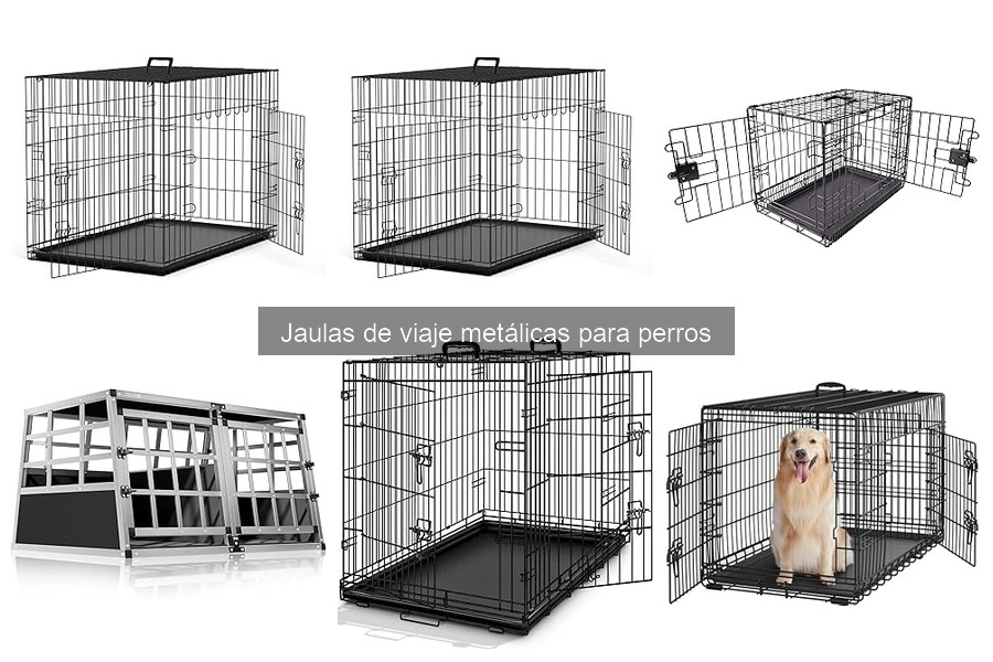 Mantén en óptimas condiciones tu jaula de viaje metálica para perros