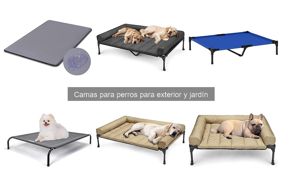 Mantén la cama de tu perro en buen estado en el jardín