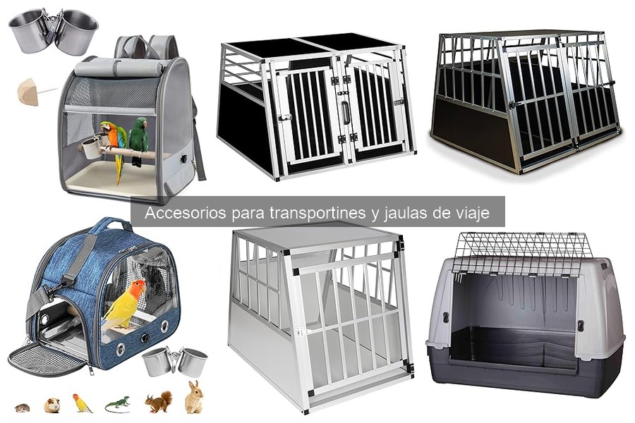 Mantenimiento de Accesorios para Transportines y Jaulas de Mascotas