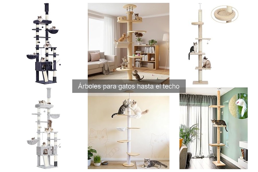 Mantenimiento de árboles para gatos hasta el techo: buenas prácticas