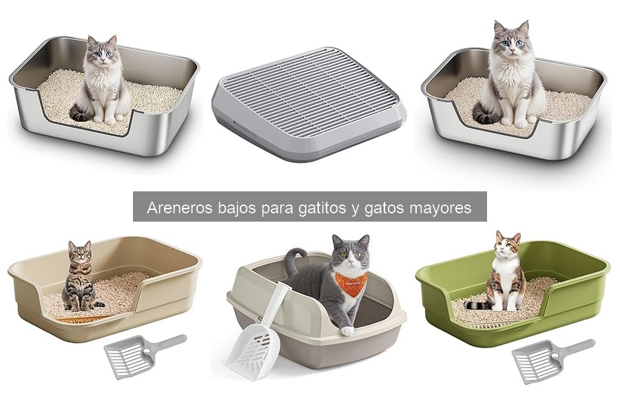 Mantenimiento de Areneros Bajos para Gatos: Mejores Prácticas