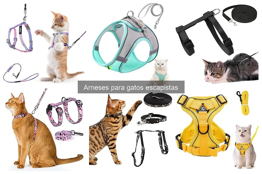 Mantenimiento de arneses para gatos: ¿cada cuánto limpiarlos?