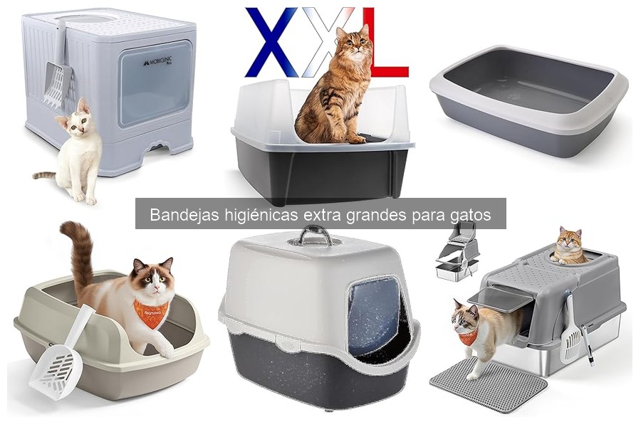 Mantenimiento de bandejas higiénicas extra grandes para gatos