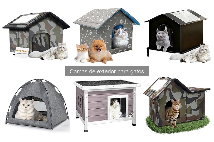 Mantenimiento de camas de exterior para gatos: Guía práctica