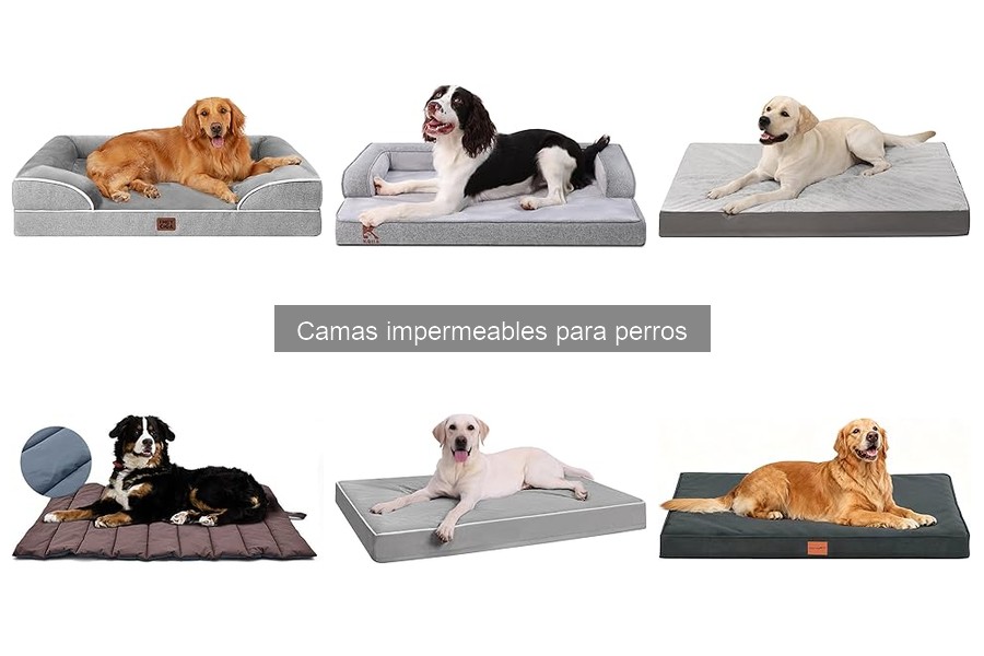 ** Mantenimiento de camas impermeables para perros: prácticas efectivas