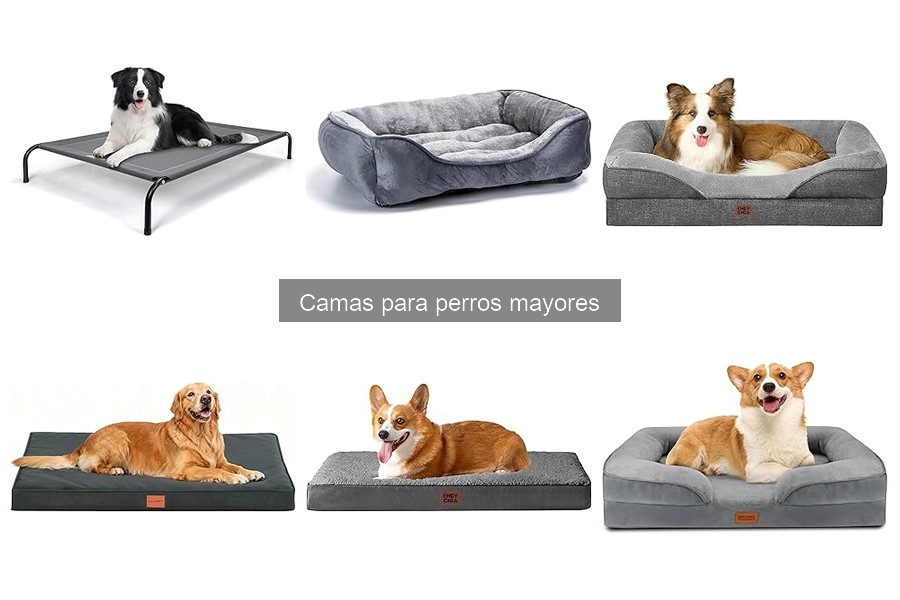 Mantenimiento de camas para perros mayores: cuidados esenciales
