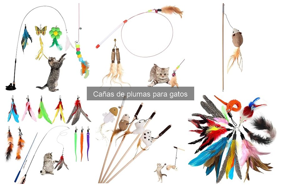 Mantenimiento de Cañas de Plumas para Gatos: Consejos Clave